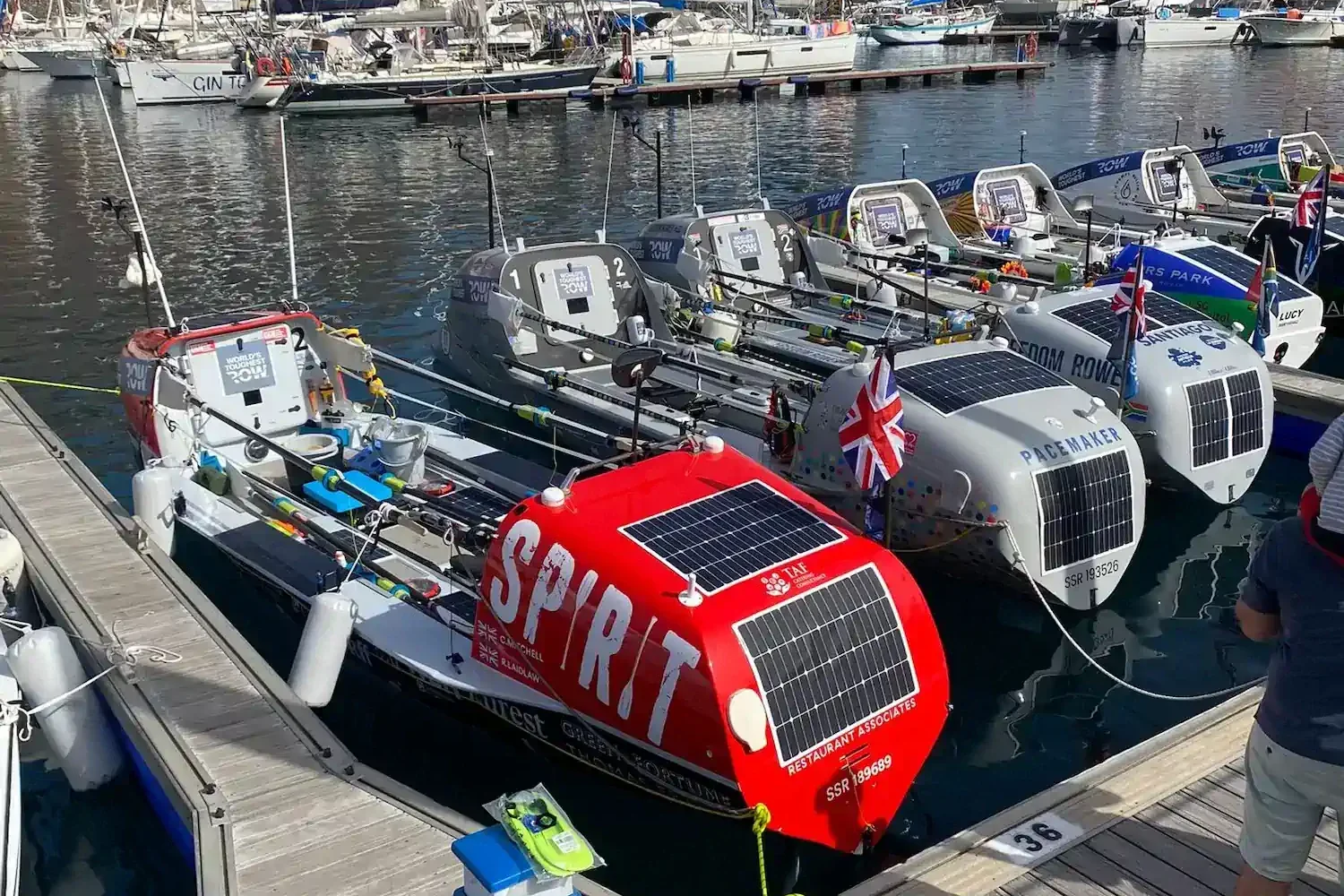 Oceaanroeiboten naast elkaar in een jachthaven
